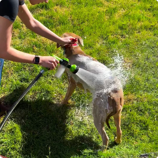 Pet Wash Cleaning Sprayer