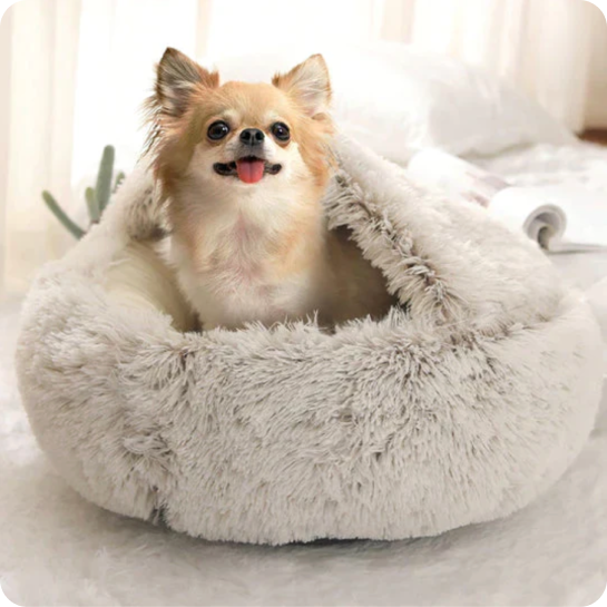 Premium Pet Bed